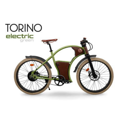 Rayvolt Torino electric bicycle