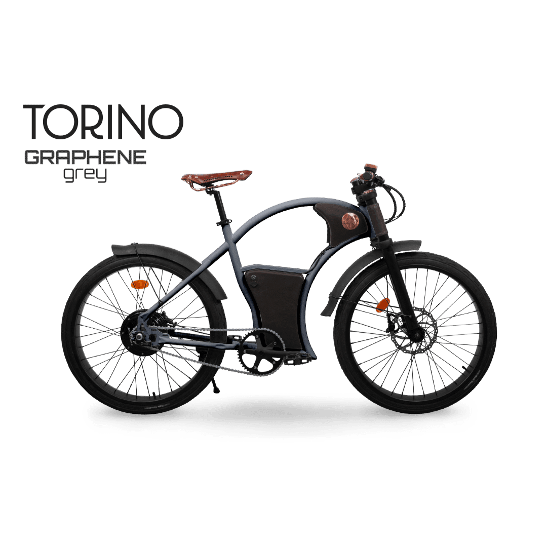 Rayvolt Torino electric bicycle