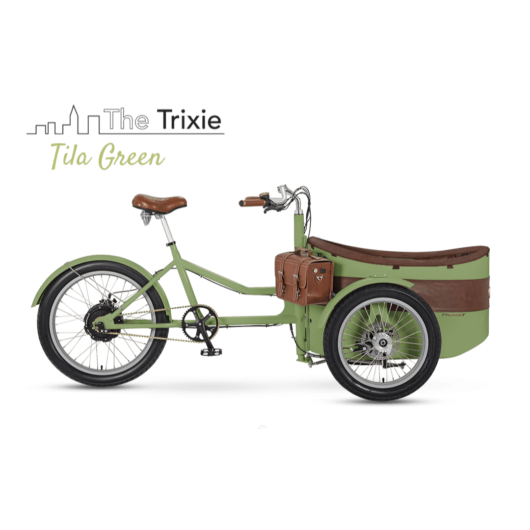 Rayvolt Trixie - electric tricycle