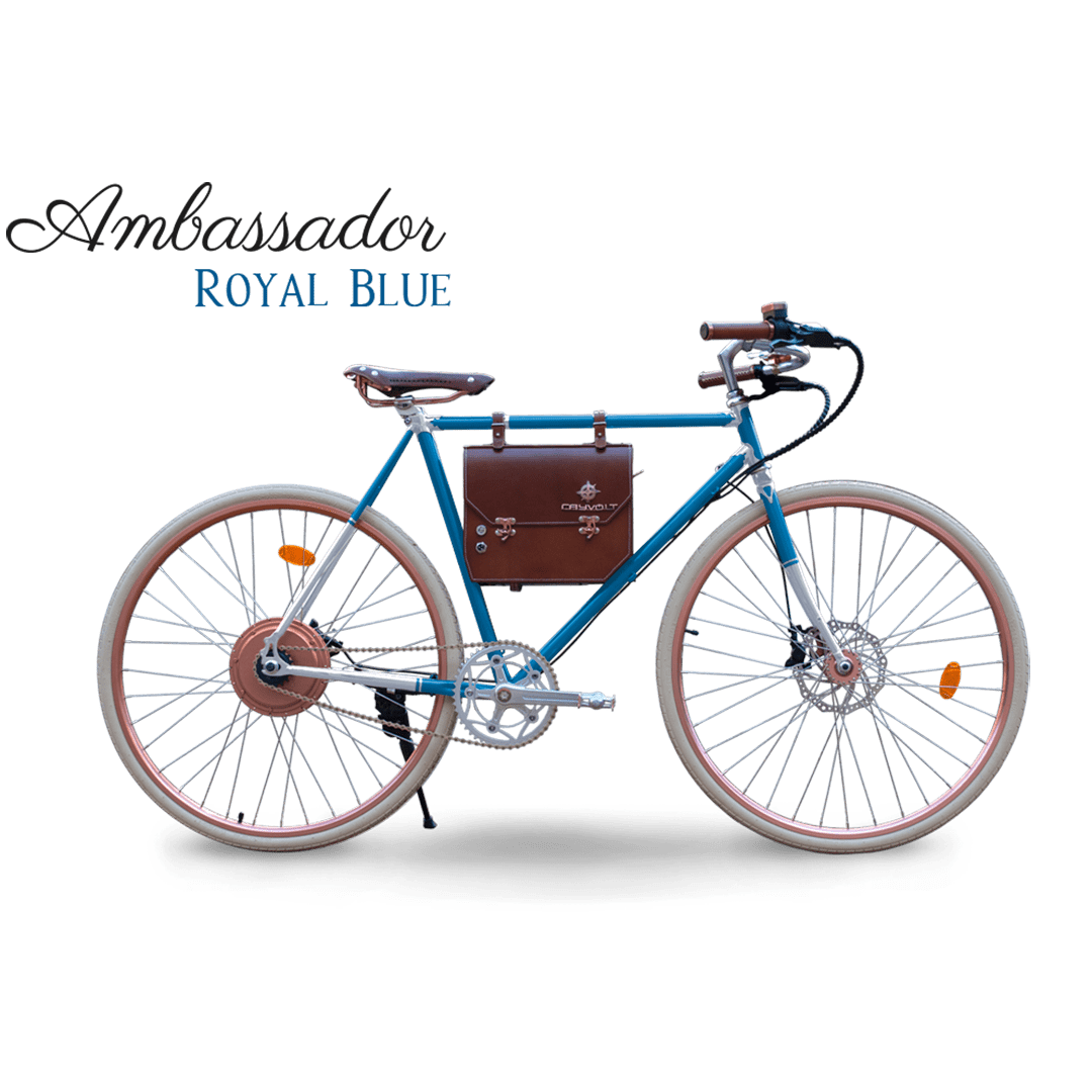 Rayvolt Ambassador Vintage E-Bike
