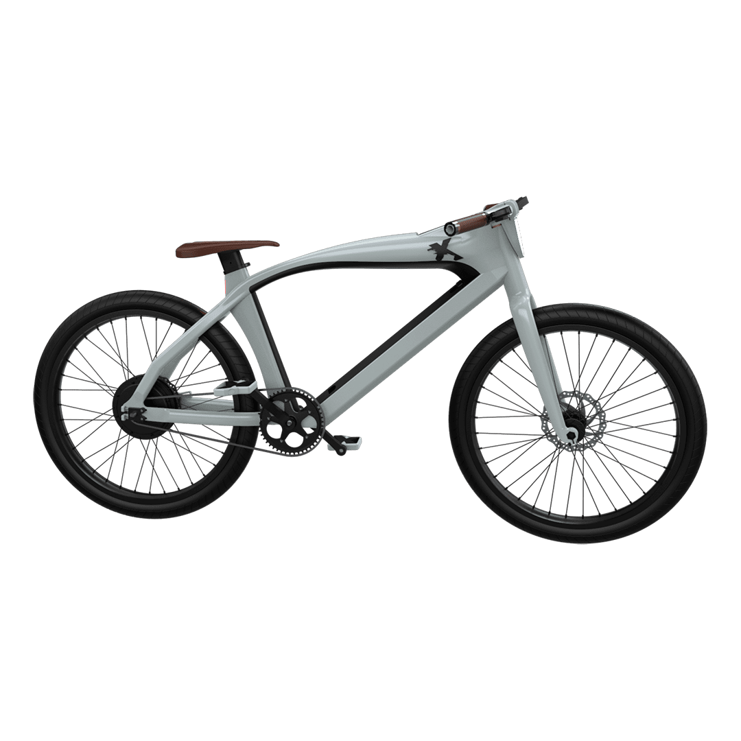 Rayvolt eXXite X One electric bicycle | Custom Cruzers