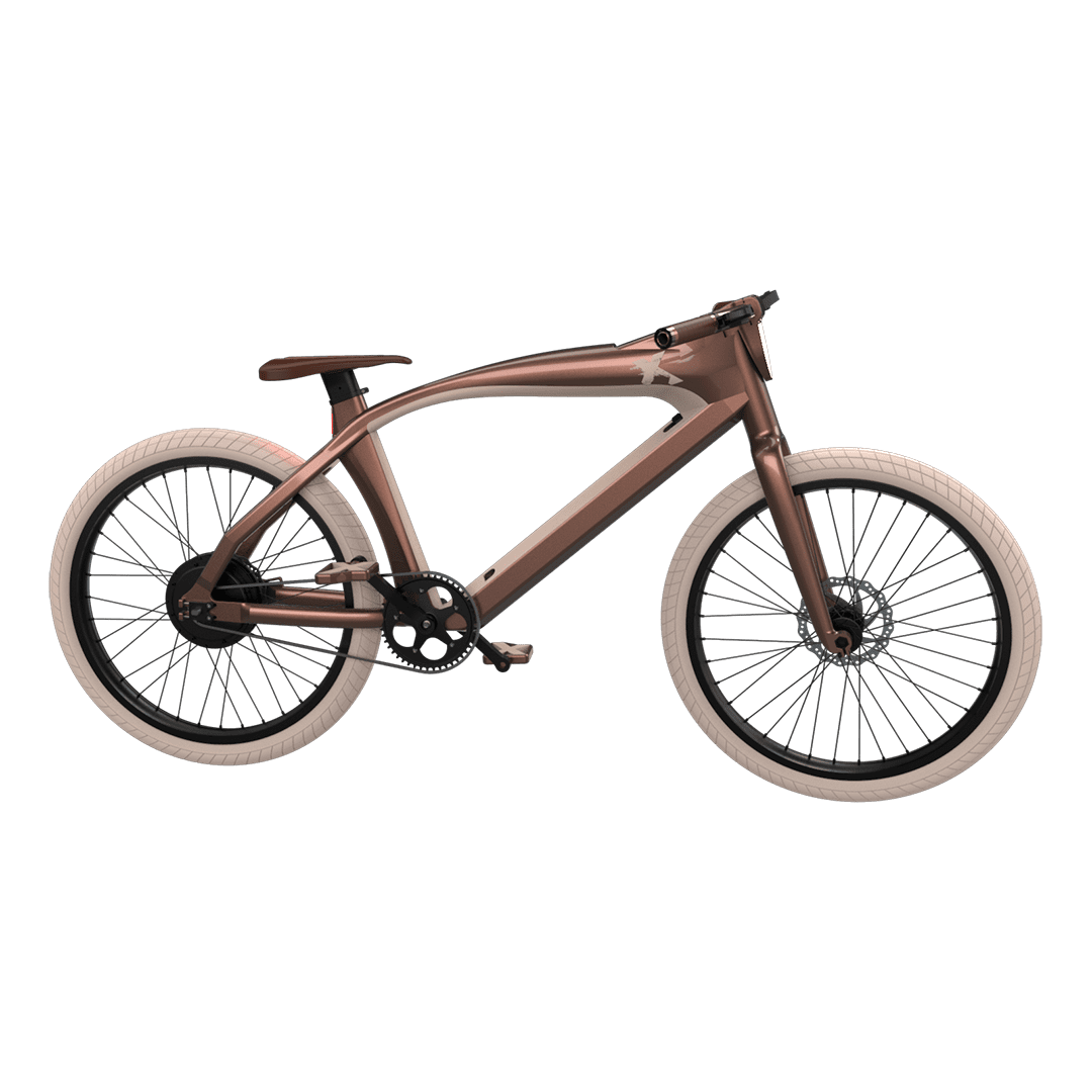 Rayvolt eXXite X One electric bicycle