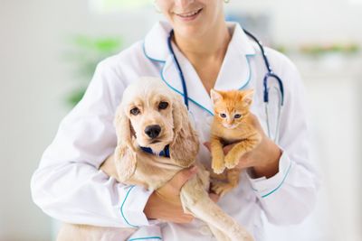 Guia Veterinária Pet & Agro
