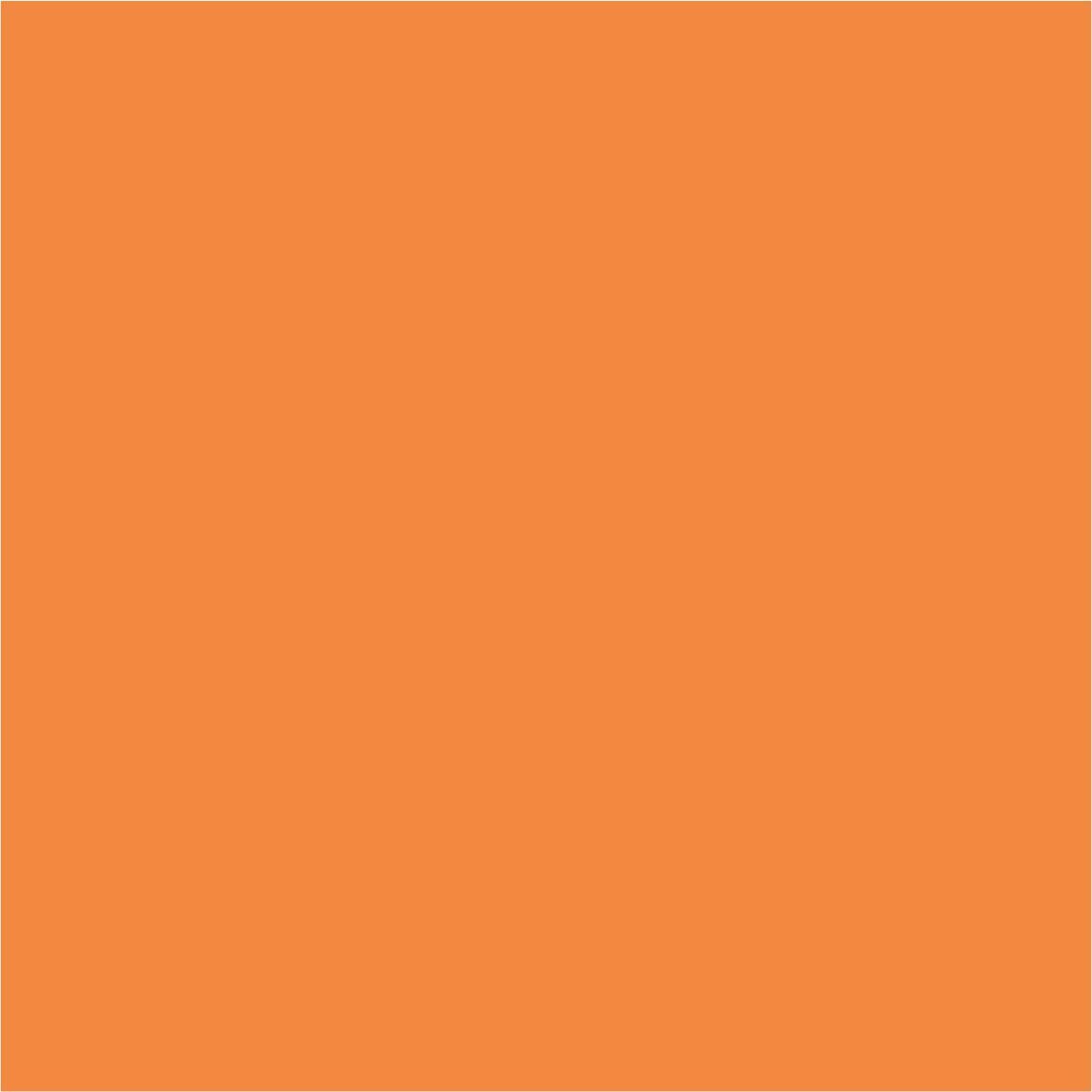 Vinil Textil PREMIUM Pumpkin