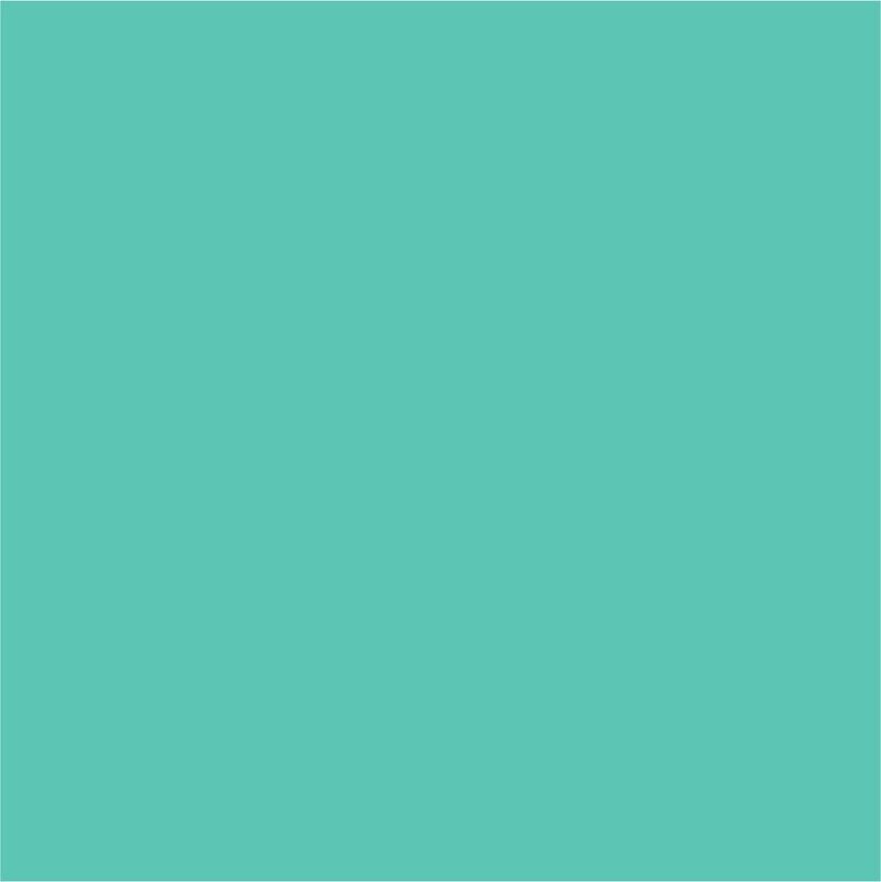 Vinil Textil PREMIUM Mint
