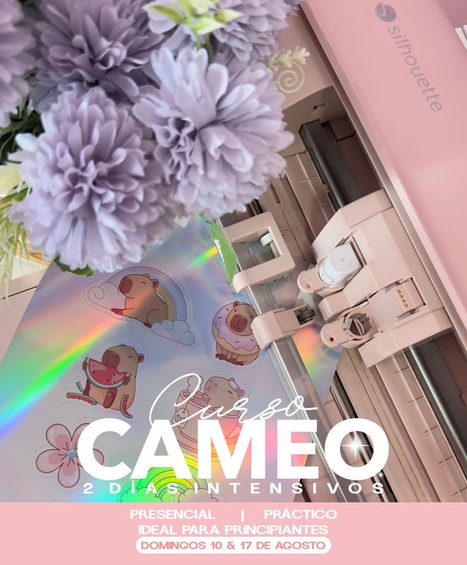 Curso Cameo Intensivo Presencial/Práctico