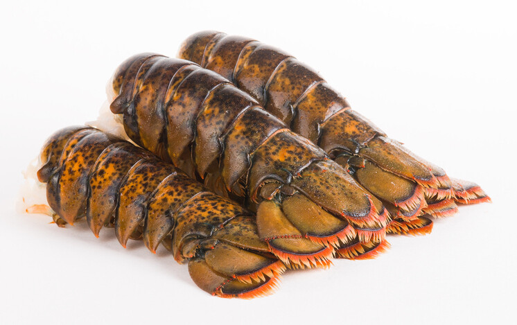 Caribbean Lobster Tails 5oz