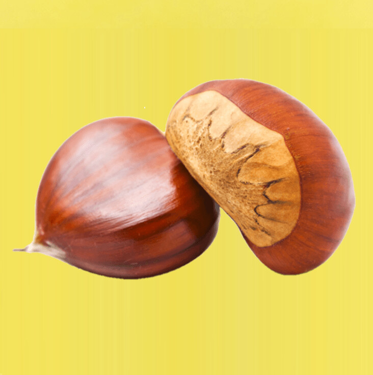 Castagne