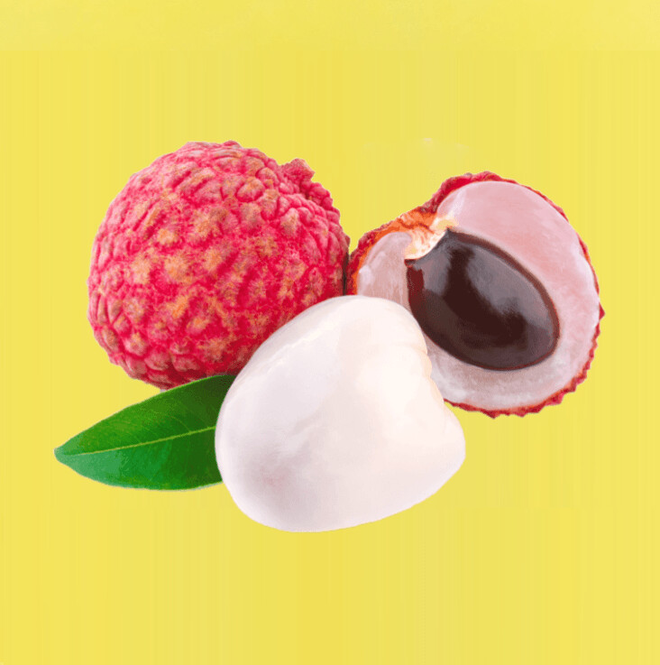 LITCHI LITCHI