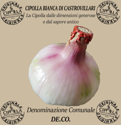Cipolla Bianca di Castrovillari - Denominazione DE.CO.