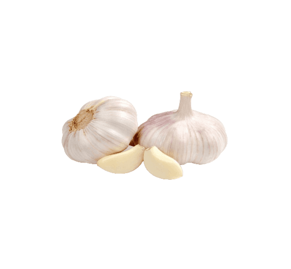 Aglio secco