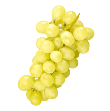 Uva Bianca