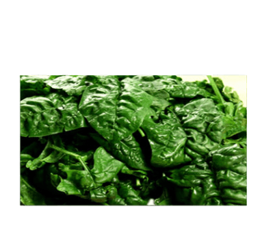 Spinaci