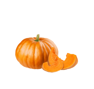 Zucca