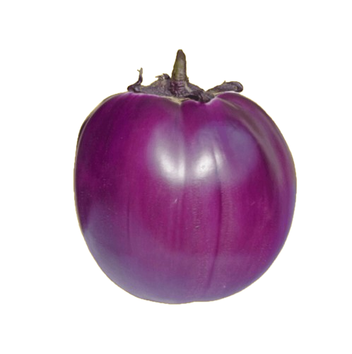 MELANZANE VIOLA