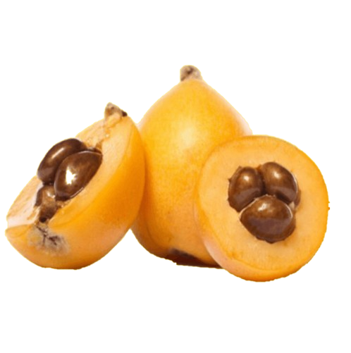 Nespole