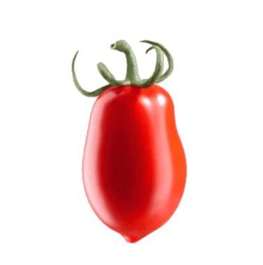 POMODORI DATTERINO