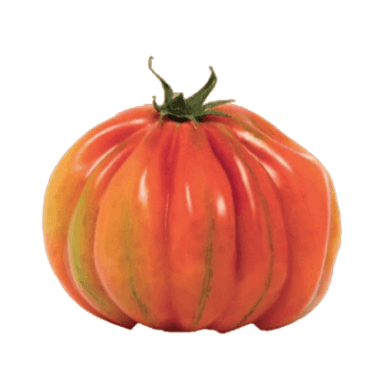 POMODORI CUORE DI BUE