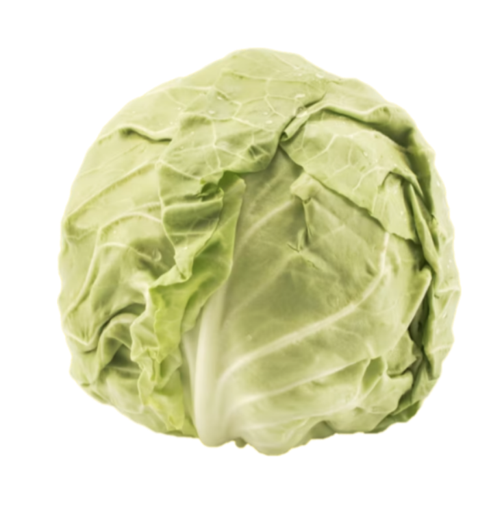 CAVOLO