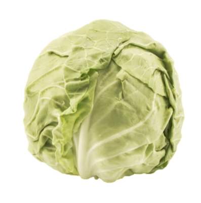 CAVOLO