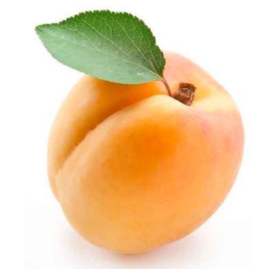 ALBICOCCHE