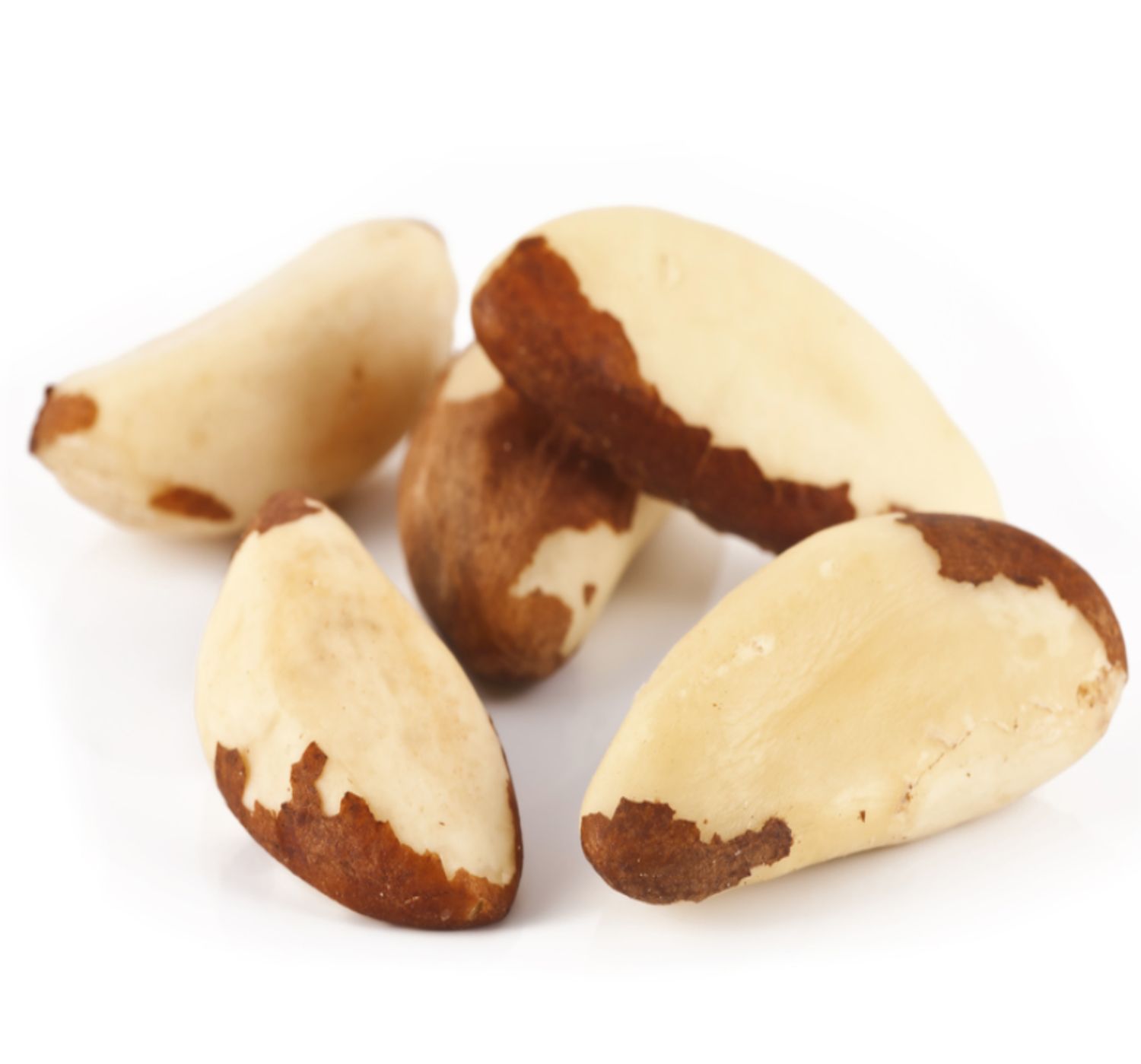 NOCI BRASILIANE CON GUSCIO