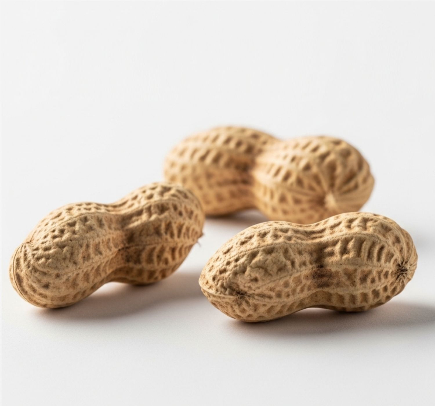 ARACHIDI CON GUSCIO - CALIBRO 7/9