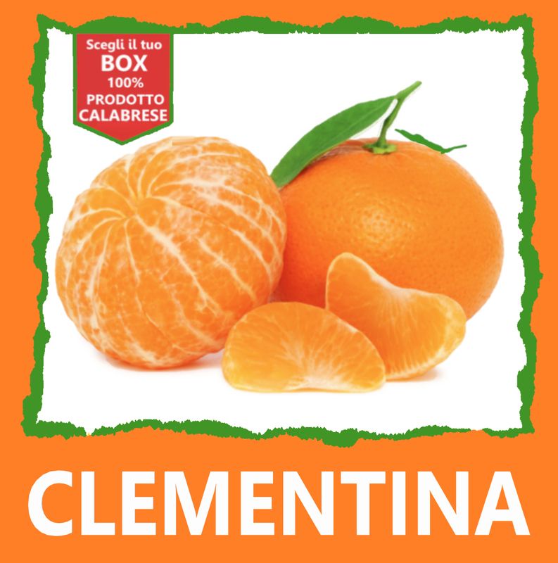 BOX CLEMENTINE