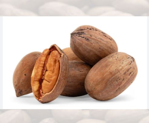 NOCI - PECANS CON GUSCIO