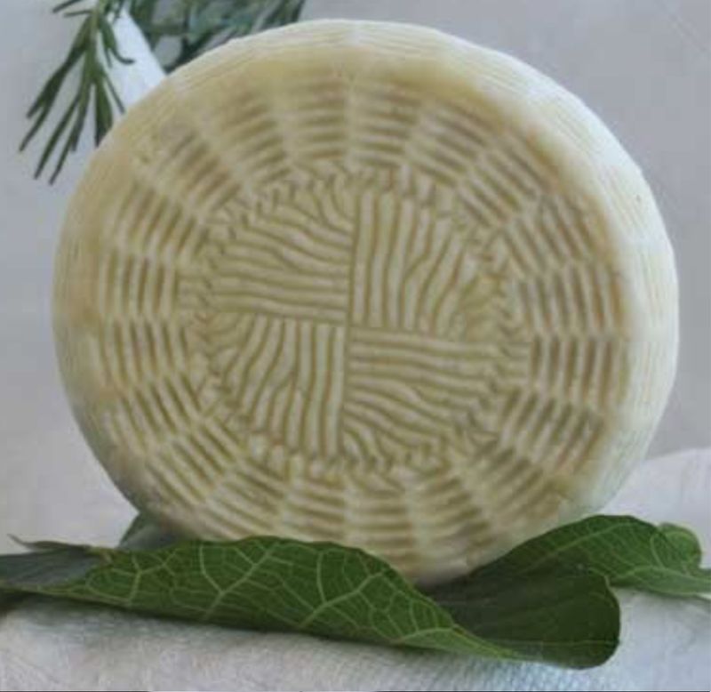 Formaggio Pecorino FRESCO