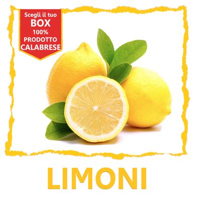 BOX LIMONI BOX LIMONI