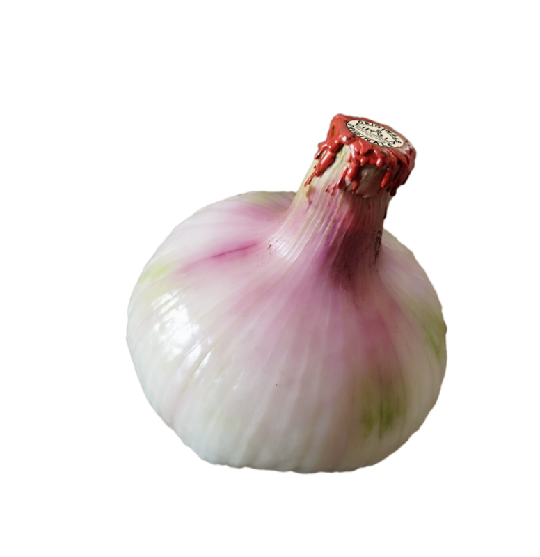 Cipolla Bianca di Castrovillari - Denominazione DE.CO. Cipolla Bianca di Castrovillari - Denominazione DE.CO.