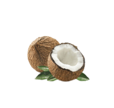 Cocco