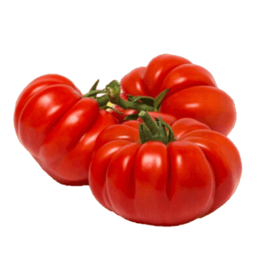 Pomodoro Costoluto Pomodoro Costoluto