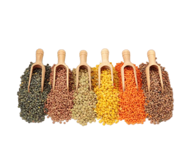 LENTICCHIE -  CASTROFRUTTA SAS - CASTROVILLARI - CALABRIA