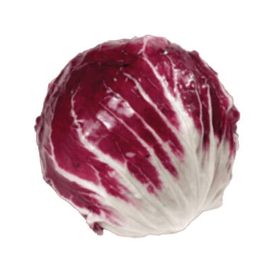 RADICCHIO RADICCHIO