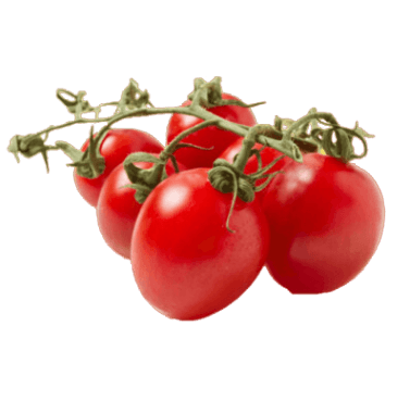 POMODORI PICCADILLY POMODORI PICCADILLY