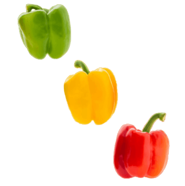 PEPERONI QUADRATI PEPERONI QUADRATI