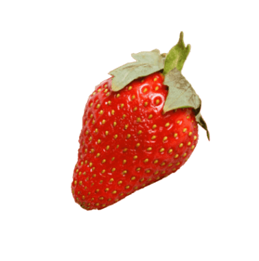 Fragole Fragole