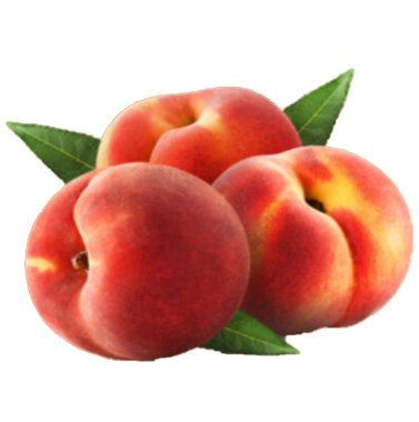 PESCHE PESCHE