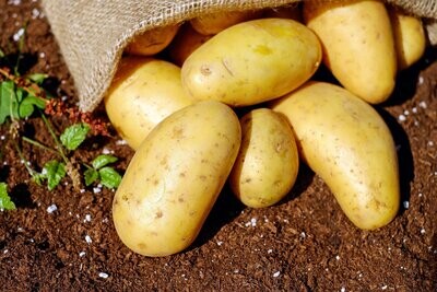 Patate Novelle Patate Novelle