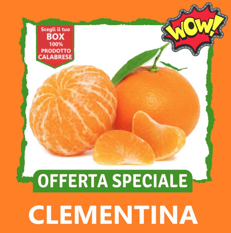 BOX CLEMENTINE BOX CLEMENTINE