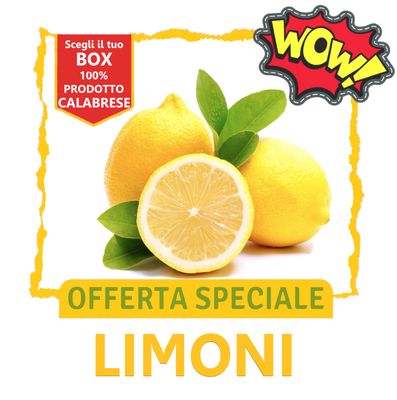 BOX LIMONI BOX LIMONI