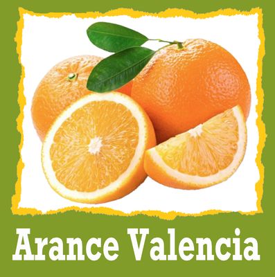 ARANCE VALENCIA