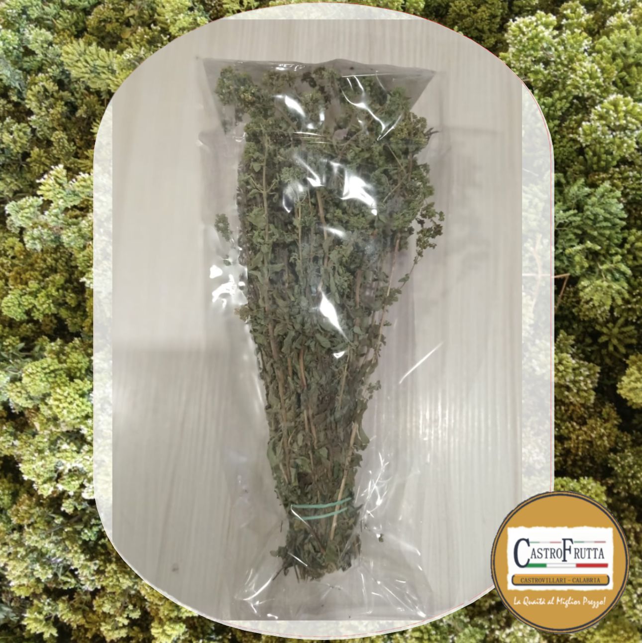 ORIGANO CALABRESE A MAZZETTO ORIGANO CALABRESE A MAZZETTO, MAZZETTO DA 100g: 1 MAZZETTO: 100g