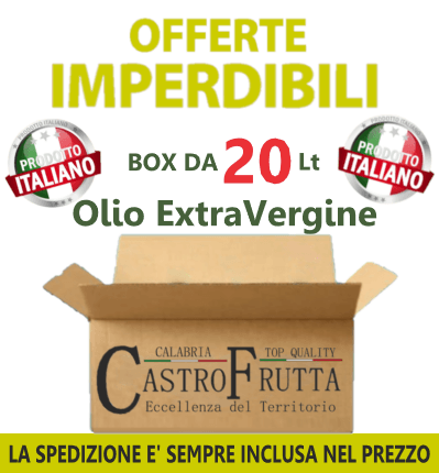 20 Lt - Latta OLIO Extravergine di oliva - ANNO 2025
