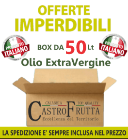 50 Lt - Latta OLIO Extravergine di oliva - ANNO 2025