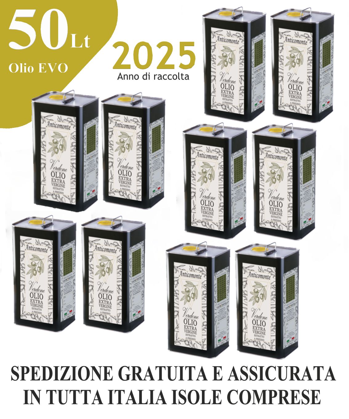 50 Lt - Latta OLIO Extravergine di oliva - ANNO 2025