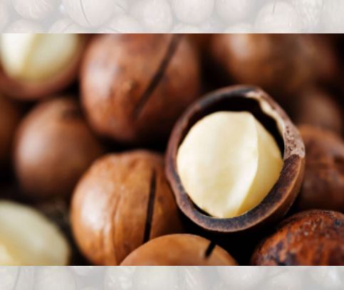 NOCI DI MACADAMIA all'aroma Limone NOCI DI MACADAMIA all'aroma Limone, FORMATO: 500 GR