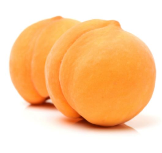 PESCHE GIALLA O PERCOCA PESCHE GIALLA O PERCOCA